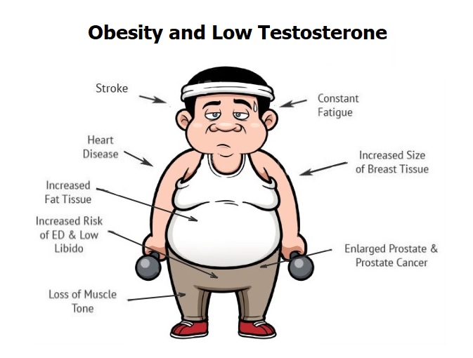 Male Obesity And Sexual Dysfunction